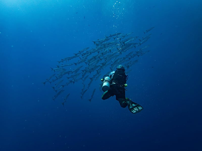 Deep Sea Exploration